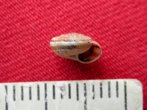 rgh1212778811g.jpg