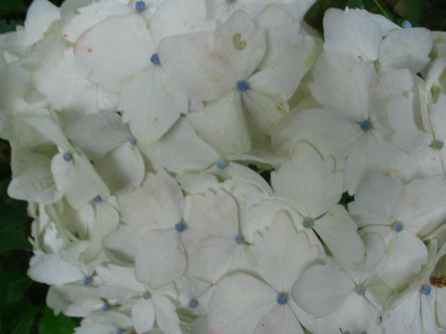 rgh1212786077s.jpg