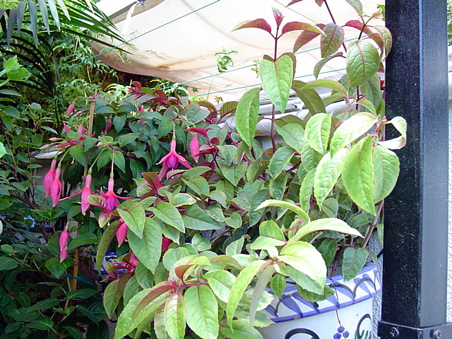 rgh1212797464b.jpg