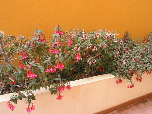 rgh1212864763s.jpg