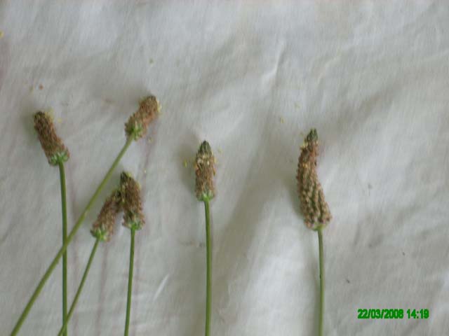 rgh1212866586s.jpg