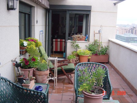 rgh1215520235h.JPG