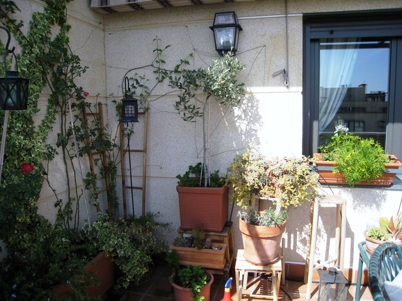 rgh1215520672n.JPG