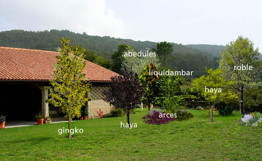 rgh1224100569j.jpg