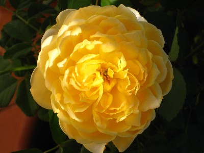 rgh1225475748z.jpg