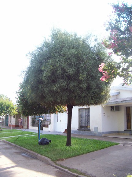rgh1228240379v.jpg