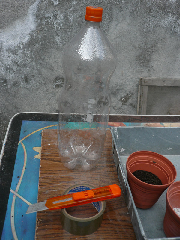 rgh1231352589z.jpg