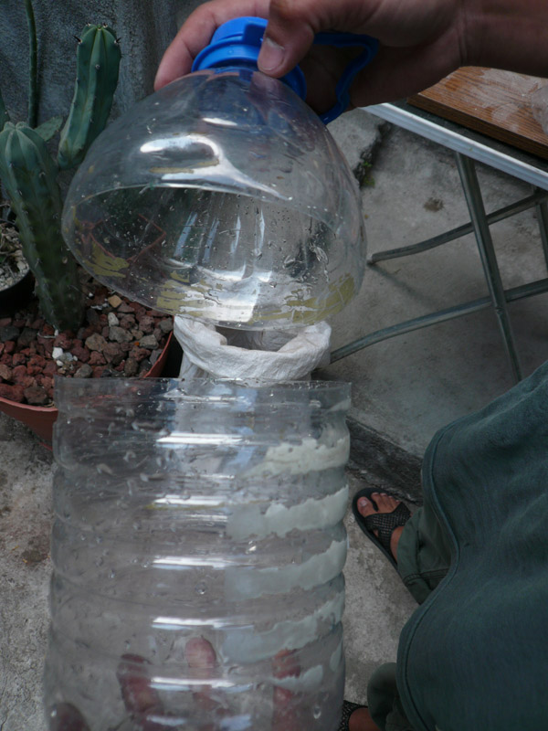 rgh1231352796k.jpg