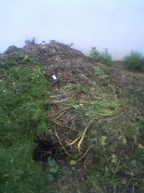 rgh1236366442i.jpg