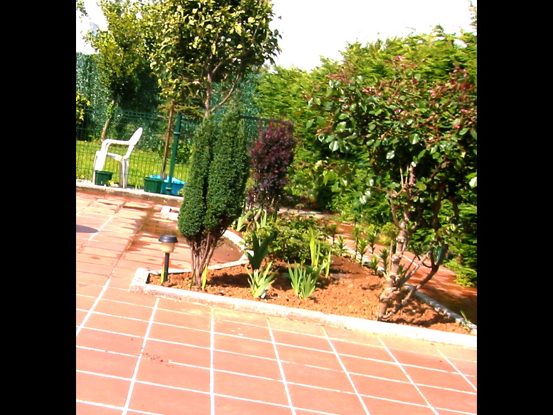 rgh1240550033a.jpg