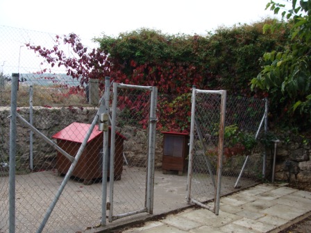 rgh1241851401e.JPG