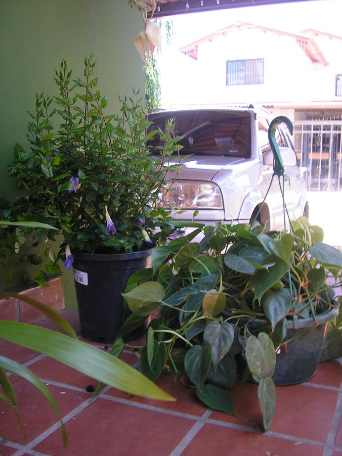rgh1244495431c.JPG