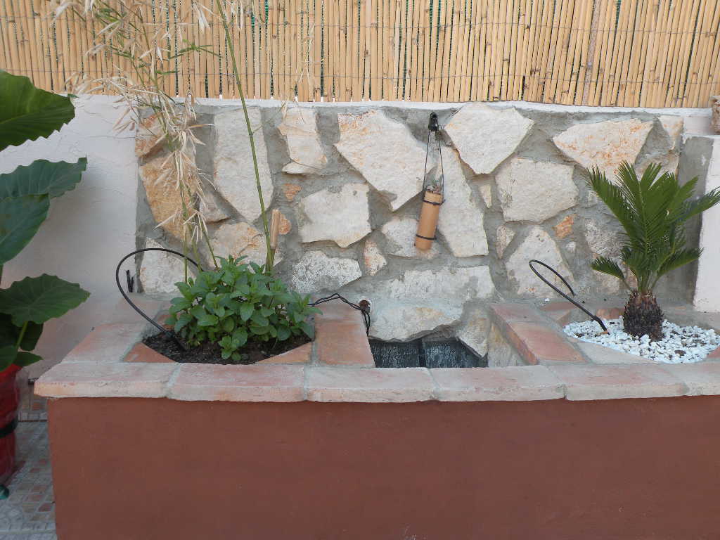 rgh1245259978h.jpg