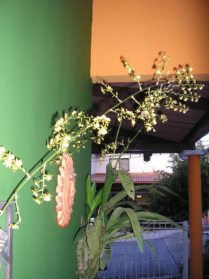 rgh1246394523q.JPG