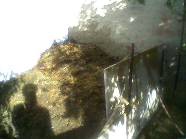 rgh1246858200o.jpg