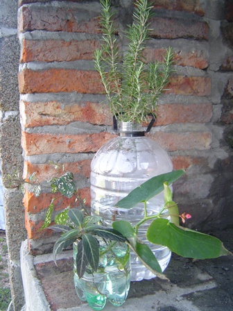 rgh1247114641a.jpg