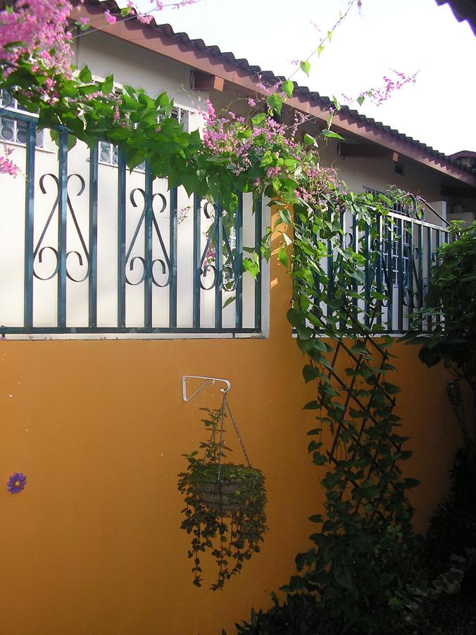rgh1249931591x.JPG
