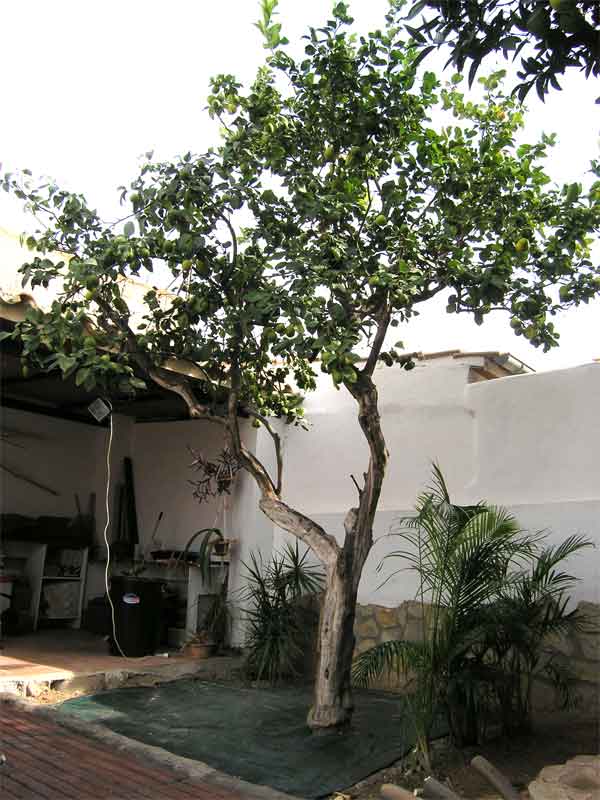 rgh1249965798i.jpg