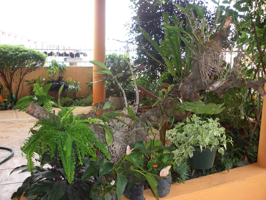 rgh1256077275o.JPG