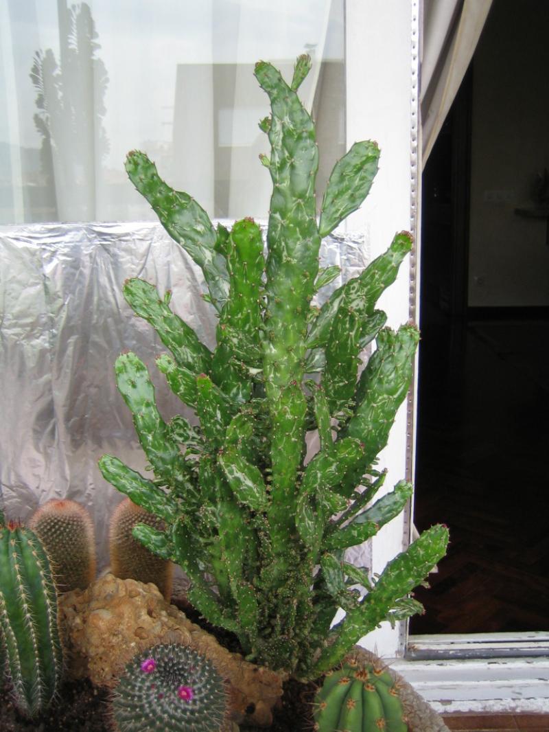 rgh1256155118y.JPG