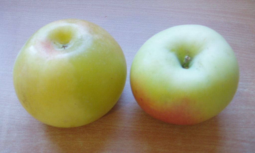 rgh1265571966b.JPG