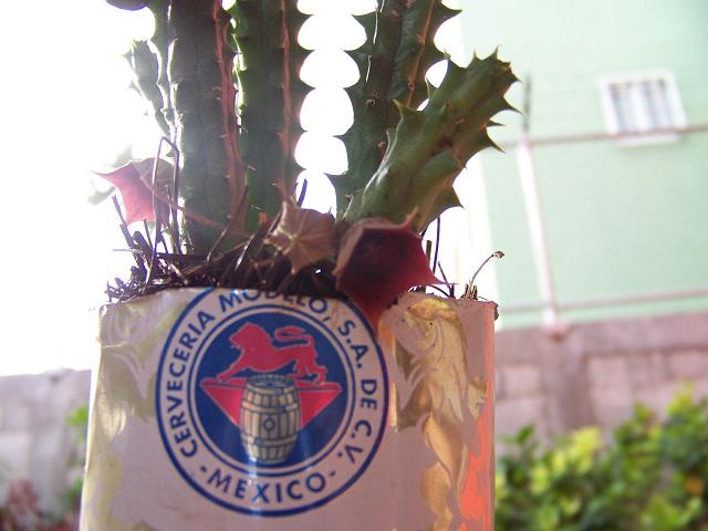 rgh1278308531f.jpg