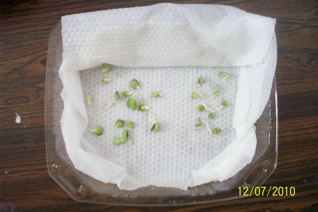 rgh1279069972f.jpg