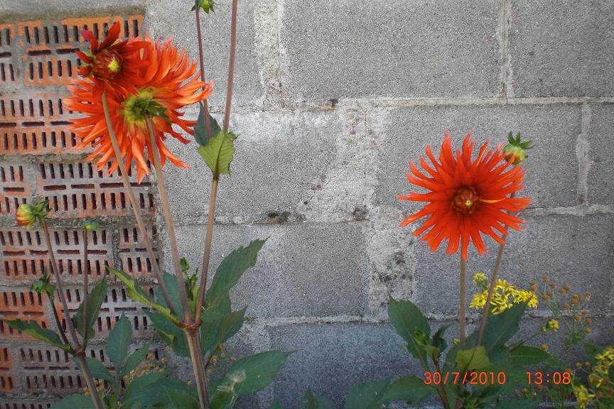 rgh1280518457q.JPG