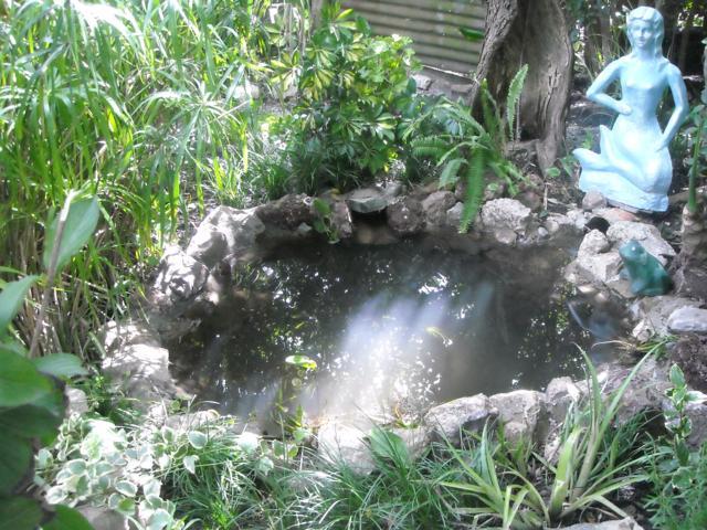rgh1285028256q.jpg