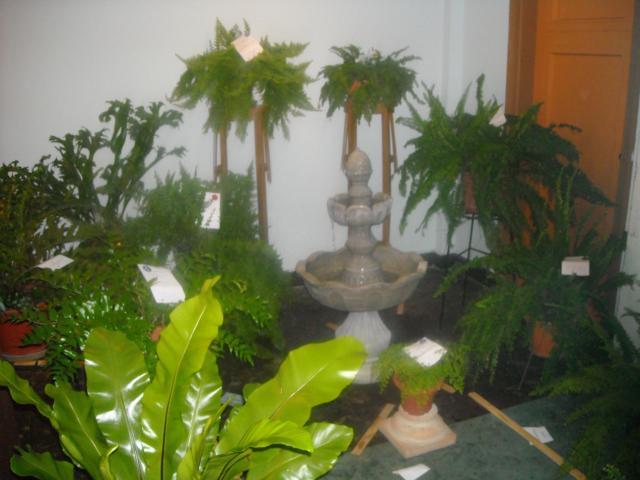 rgh1288211929g.jpg