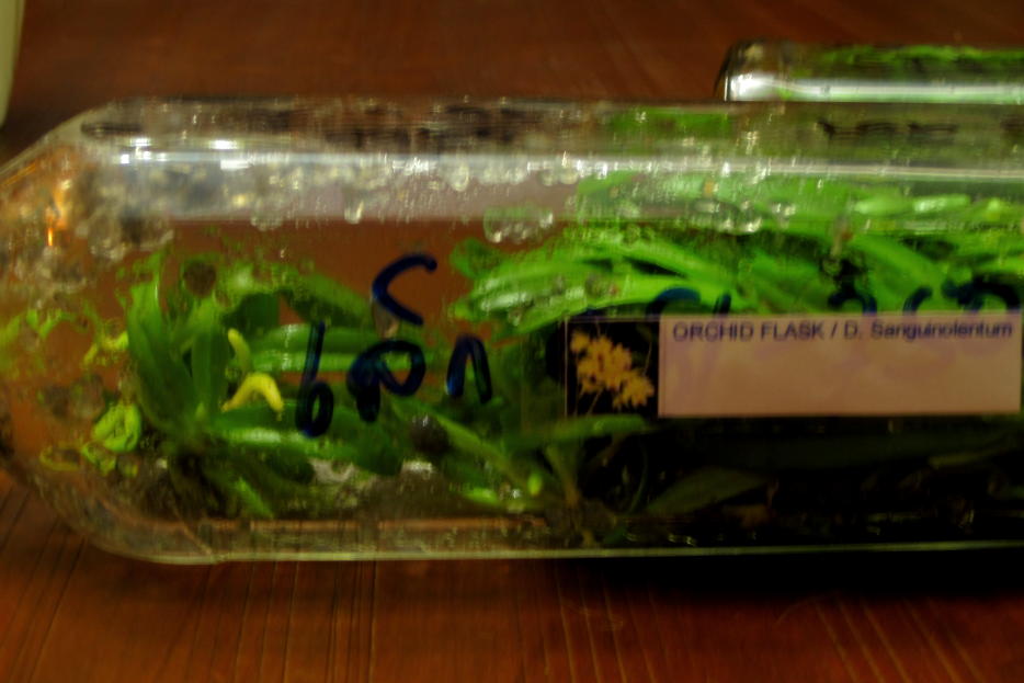 rgh1290716848s.jpg