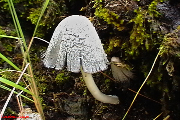 rgh1295548872o.jpg