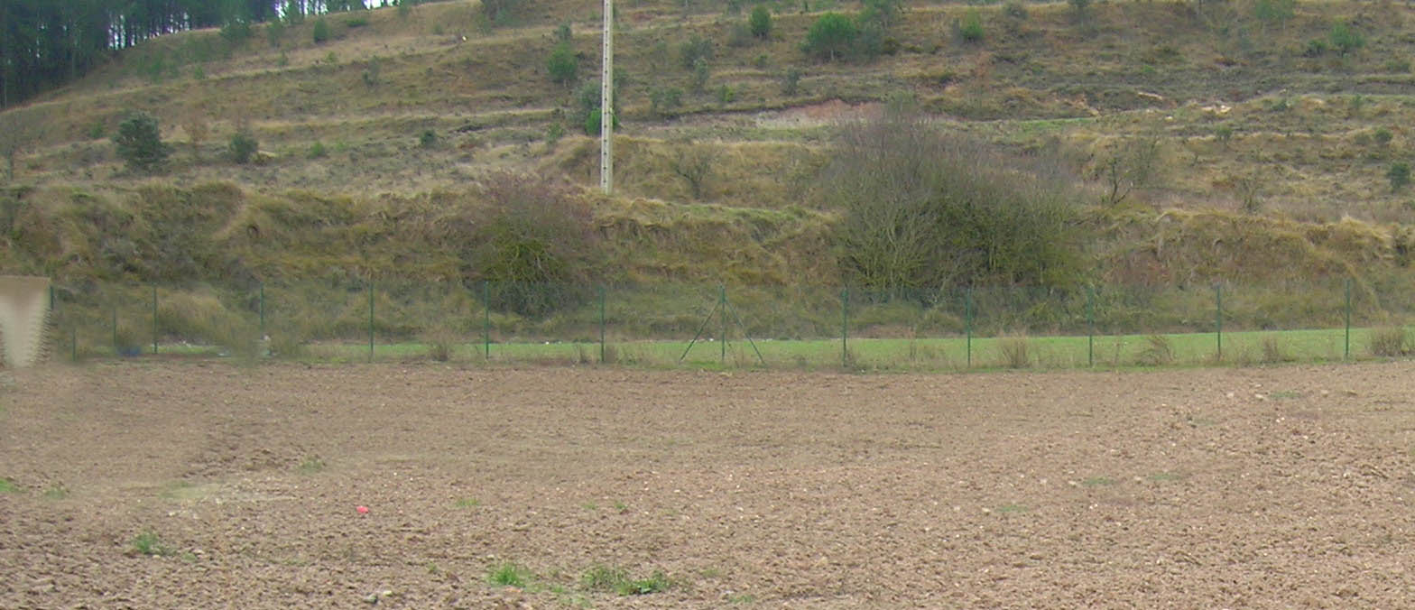 rgh1296553828r.jpg