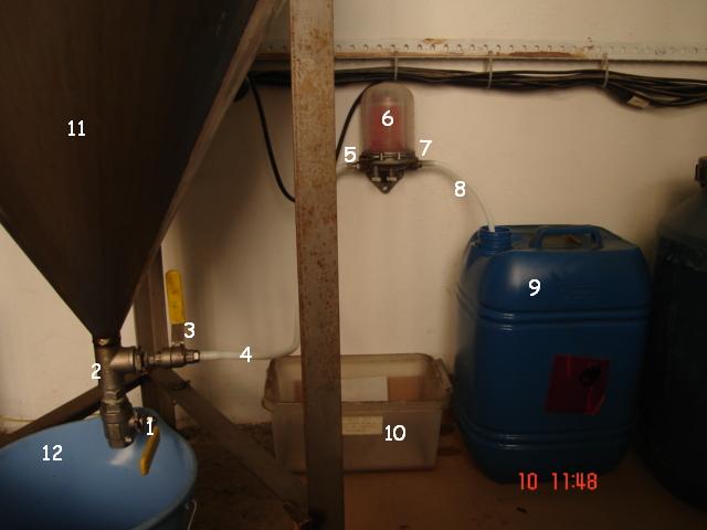 rgh1296869537v.JPG
