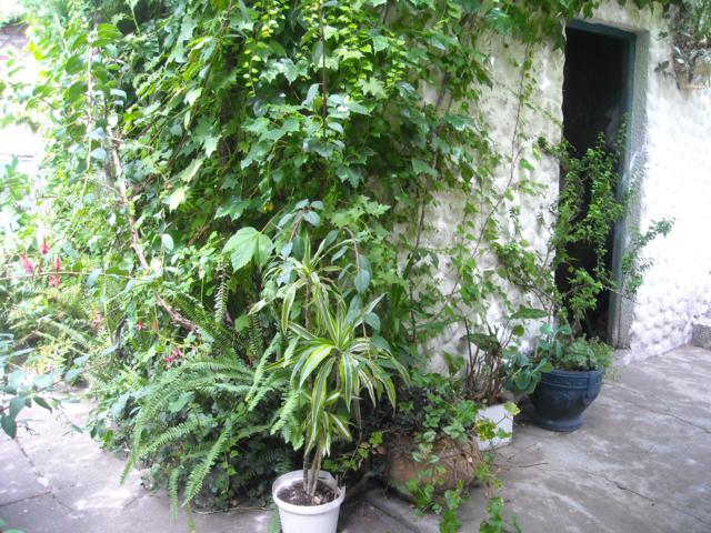 rgh1297887506e.jpg