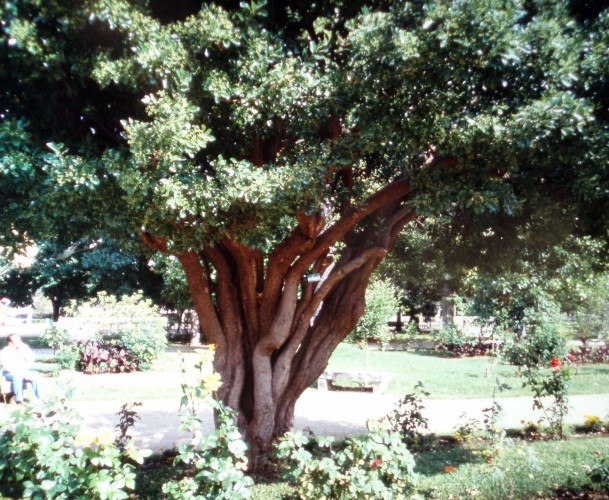 rgh1298027353e.jpg