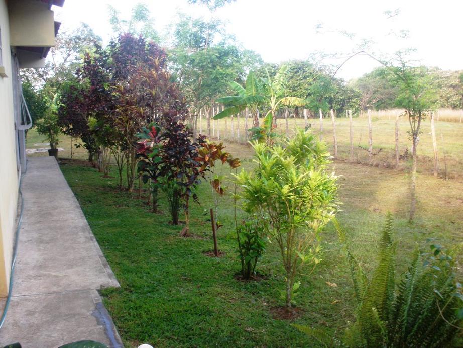 rgh1299751106z.JPG