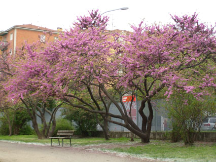 rgh1301827369f.jpg