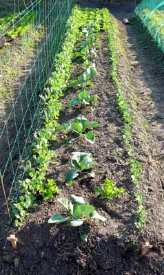 rgh1303147156a.jpg