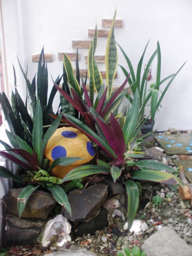 rgh1305454941w.JPG