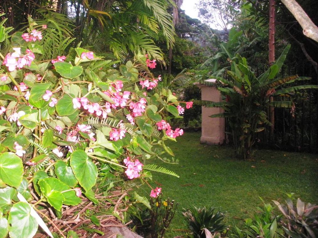 rgh1306835065n.JPG