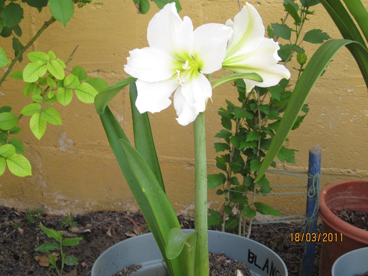 rgh1308720935o.JPG