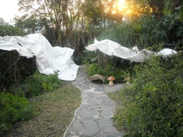 rgh1310596184e.jpg