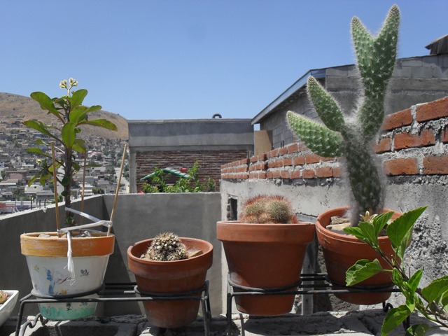 rgh1311730855r.JPG