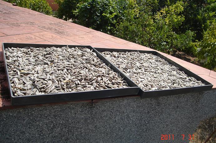 rgh1312106681f.jpg