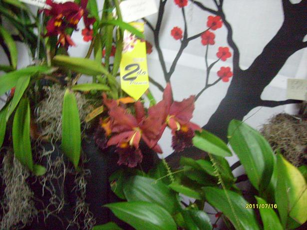 rgh1312244394k.JPG