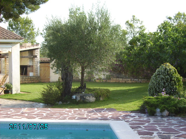 rgh1312278918b.JPG