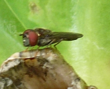 rgh1312291295z.JPG
