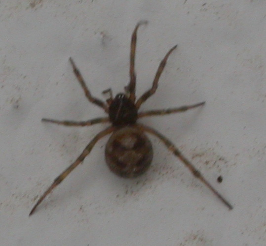 rgh1312316265o.jpg
