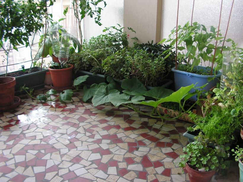 rgh1312320624u.jpg